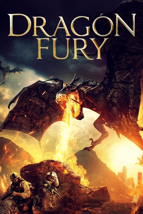 Plakát Dragon Fury