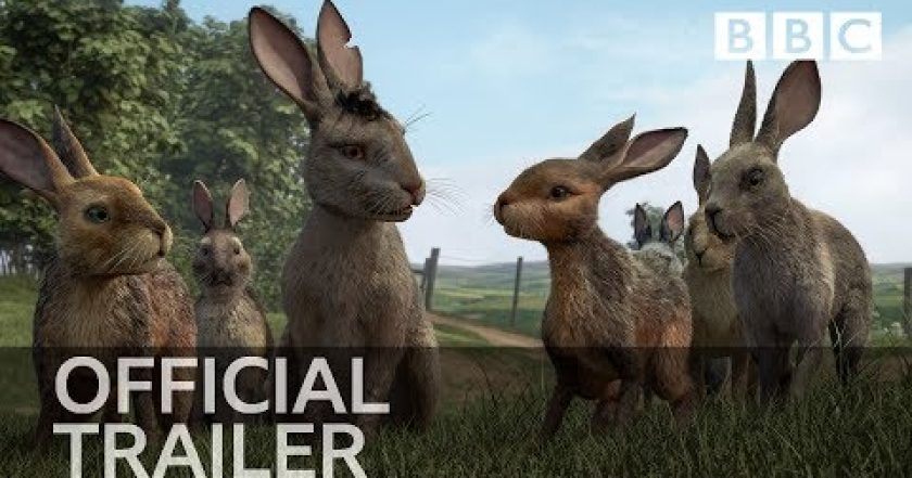 Daleká cesta za domovem