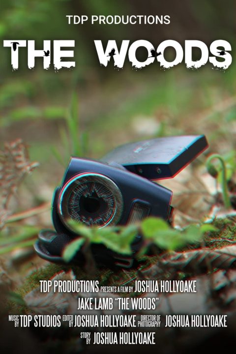 Plakát The Woods
