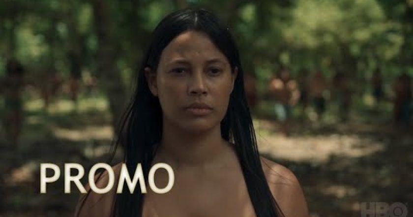 Stručné dejiny vyhladzovania