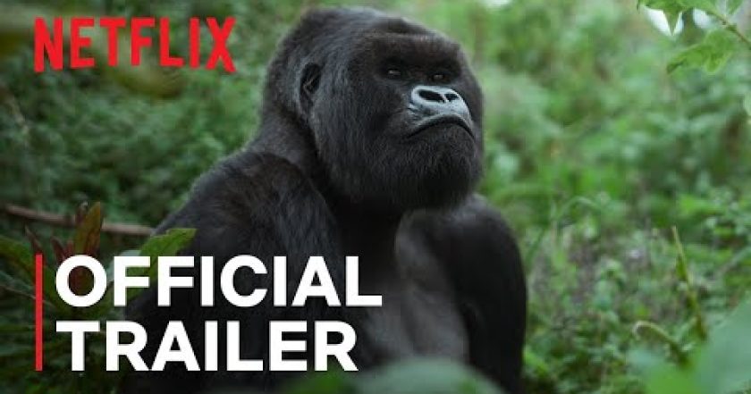 David Attenborough: Gorilí příběh