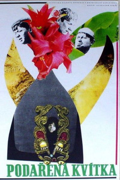 Plakát Podařená kvítka
