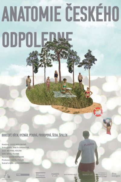 Plakát Anatomie českého odpoledne