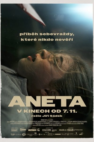 Plakát Aneta