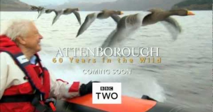 Attenborough - 60 let v divočině