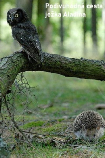 Plakát Podivuhodná cesta ježka Aladina