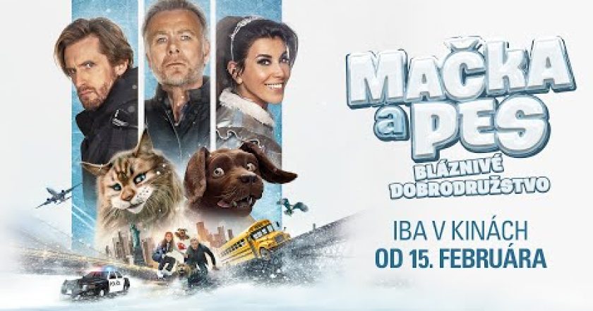 Kočka a pes: Šílené dobrodružství