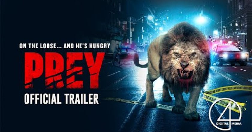 Krvežíznivý strach ve městě