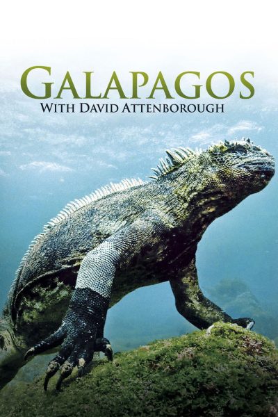 Plakát Galapágy