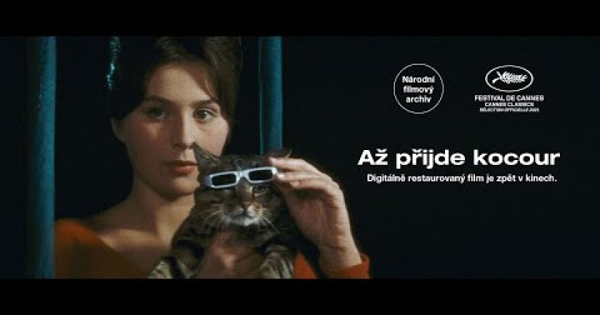 Až přijde kocour
