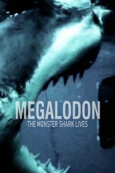 Plakát Megalodon: Obří superžralok žije