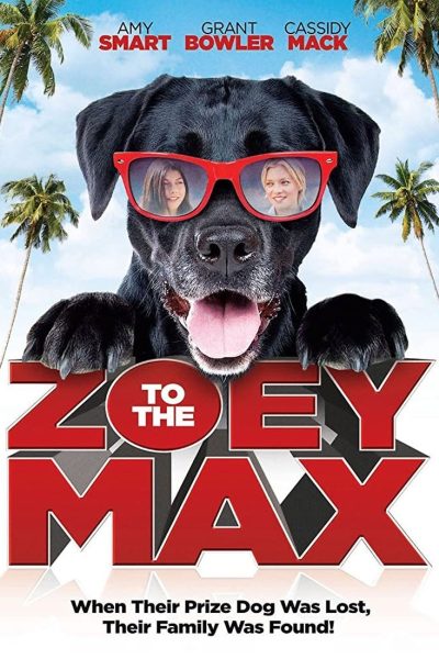 Plakát Zoey hľadá Maxa