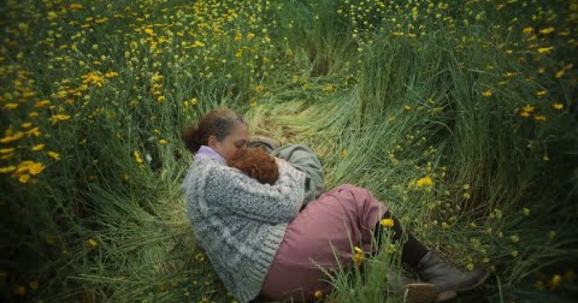 Komu patří můj život