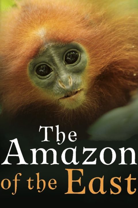 Kinabatangan: Der Amazonas des Ostens