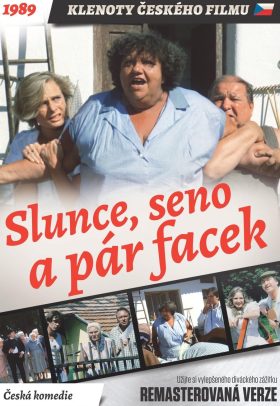 Slunce, seno a pár facek