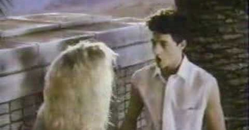 Láska není v ceně