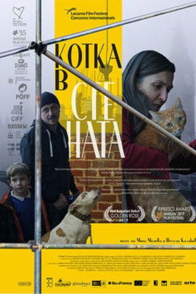 Plakát Kočka ve zdi