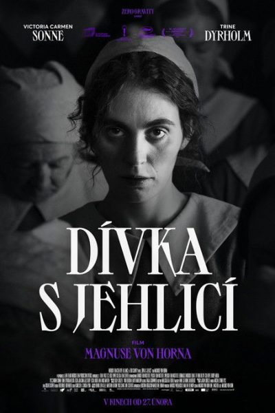 Plakát Dívka s jehlicí
