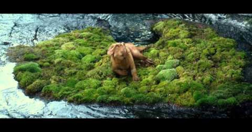 Putování s dinosaury