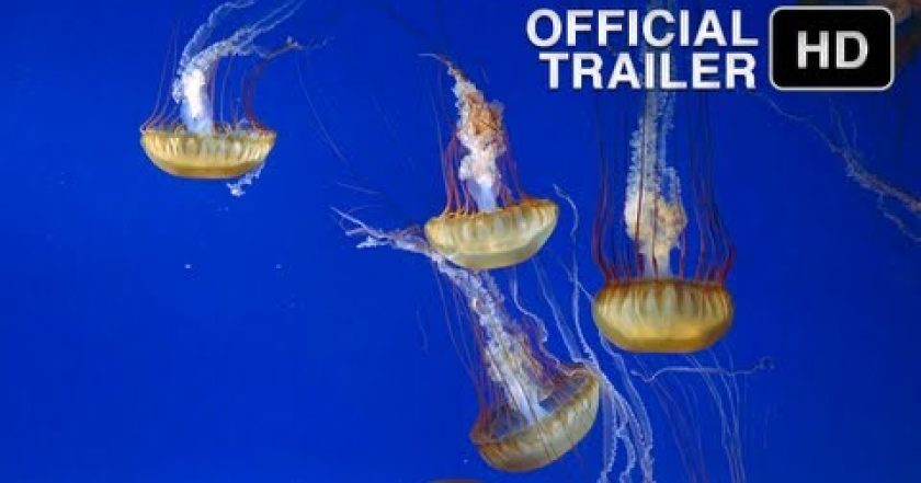 The Living Sea