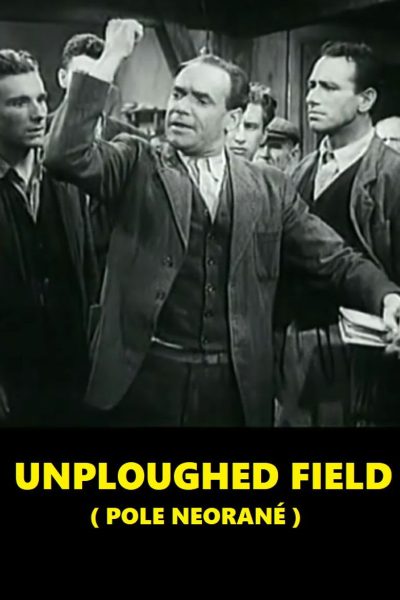 Plakát Pole neorané