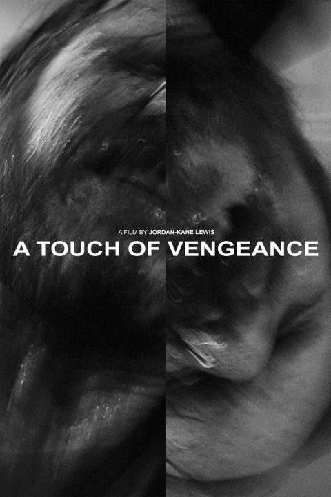 Plakát A Touch of Vengeance