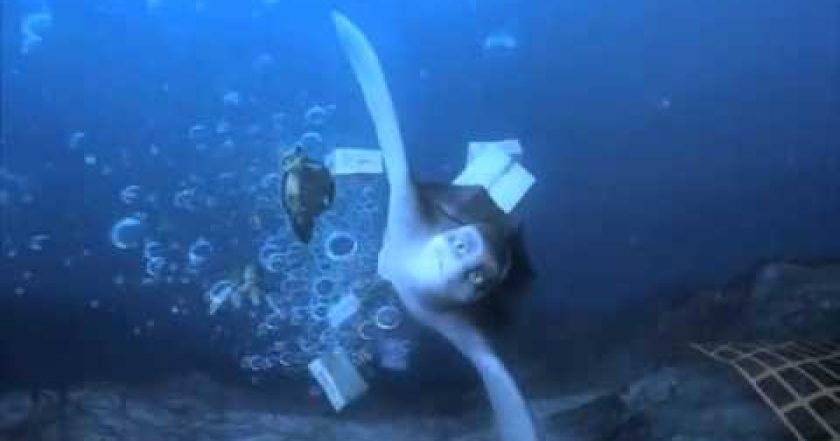 Sammyho dobrodružství