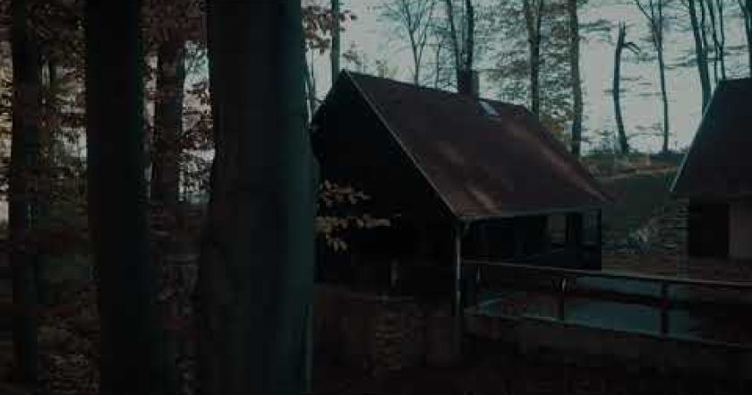 I Hear the Trees Whispering