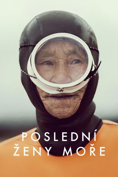 Plakát Poslední ženy moře