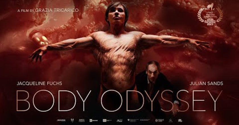 Body Odyssey