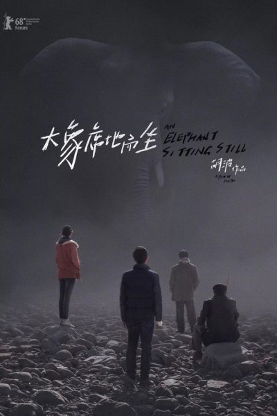 Plakát Sedící slon