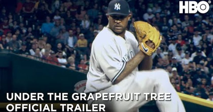 Pod grepovníkem: Příběh CC Sabathii