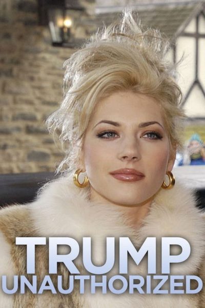 Plakát Příběh Donalda Trumpa