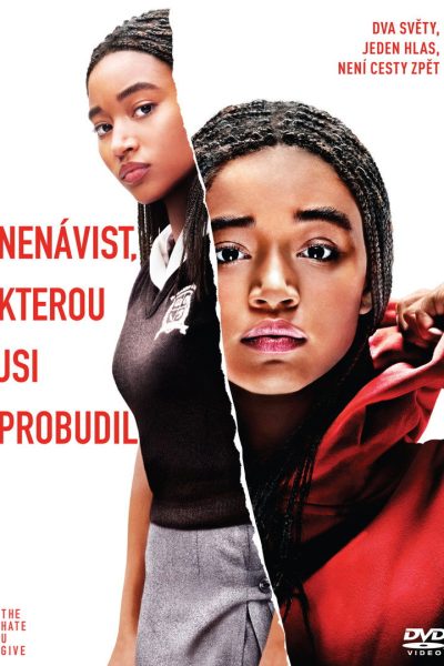 Plakát Nenávist, kterou jsi probudil
