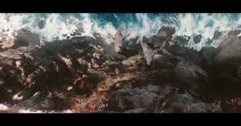 Star Trek: Do temnoty