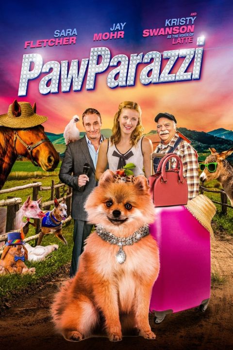 Plakát PawParazzi