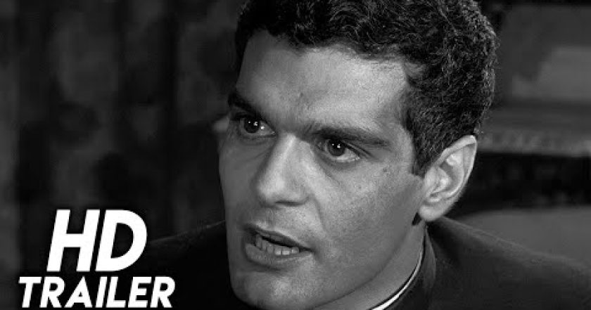 Spatřit plavého koně