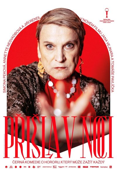 Plakát Přišla v noci