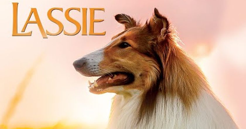 Lassie se vrací