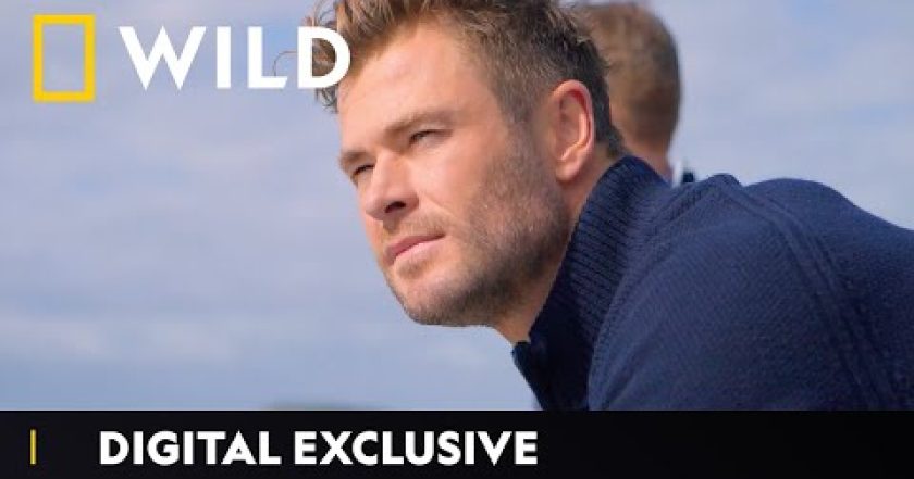 Chris Hemsworth na pláži žraloků