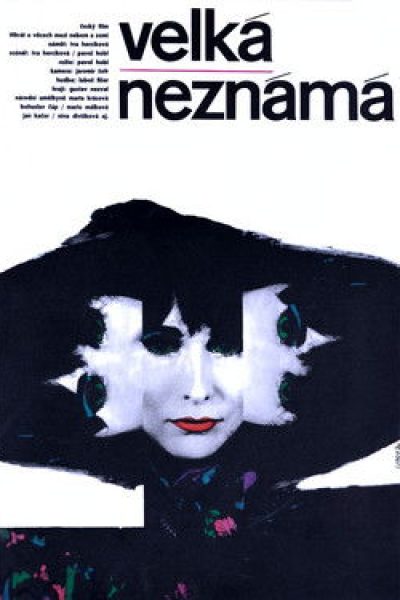 Plakát Velká neznámá