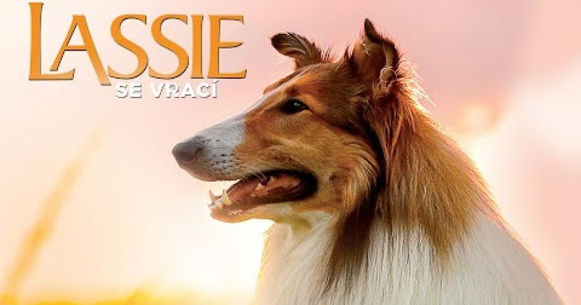 Lassie se vrací