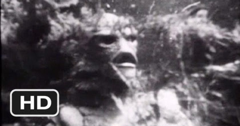 Netvor z Černé laguny