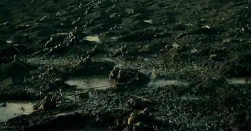 Bitva o Passchendaele