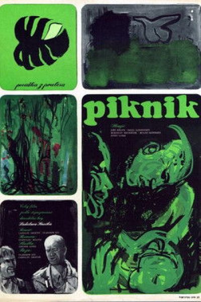 Plakát Piknik