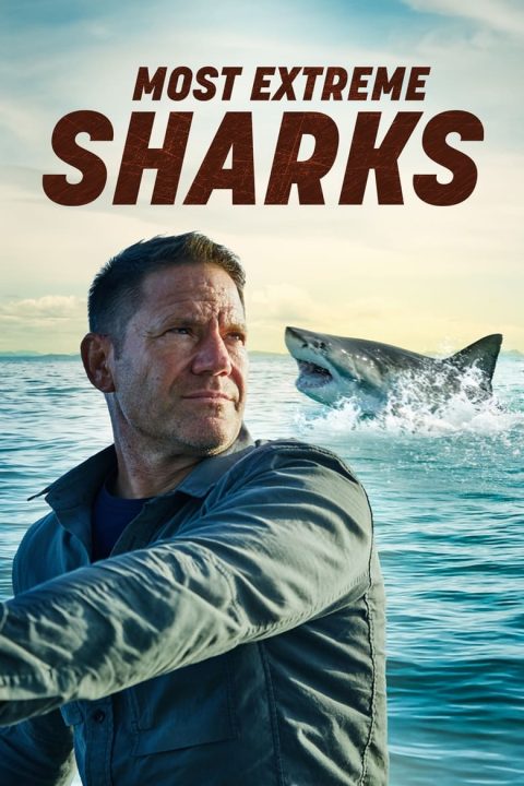Plakát Most Extreme Sharks