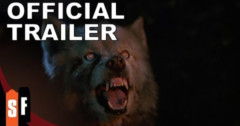 Hřbitov domácích zvířátek 2