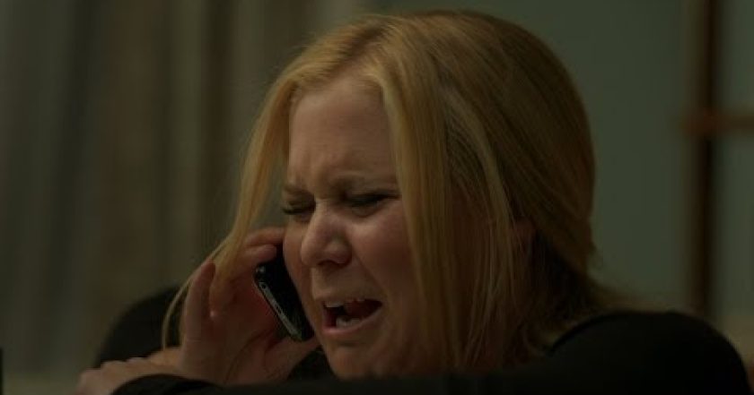 Amyino plodné lůno