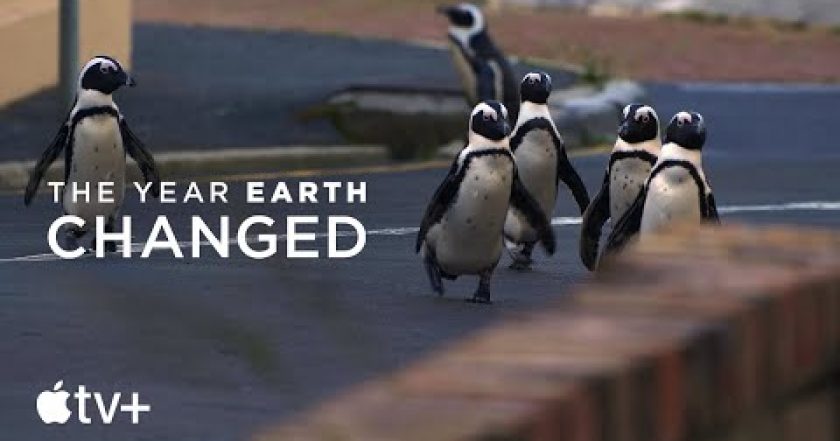 Rok, který změnil Zemi