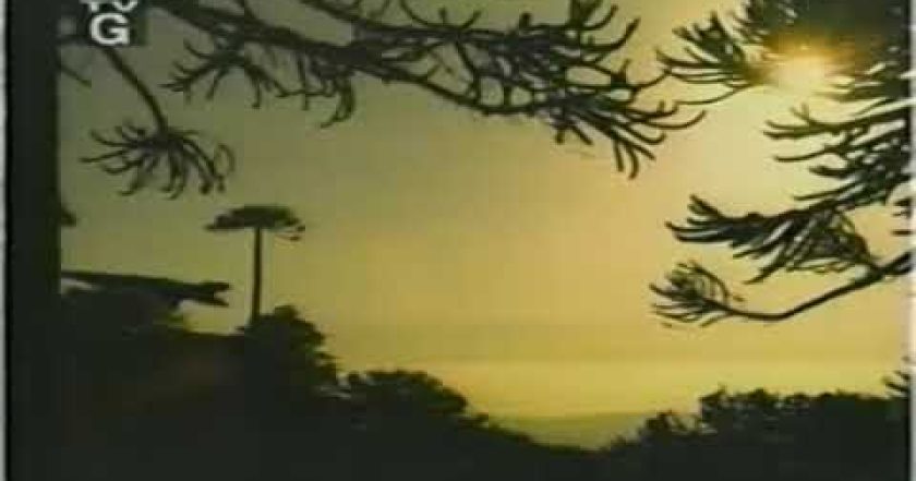 Putování s dinosaury